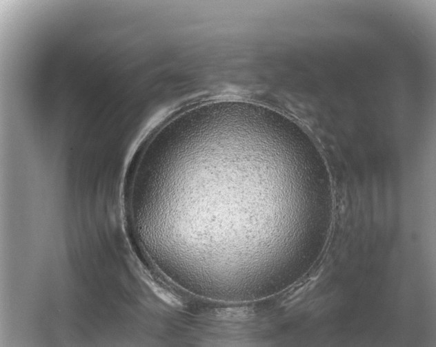 X0000067380102200604071738