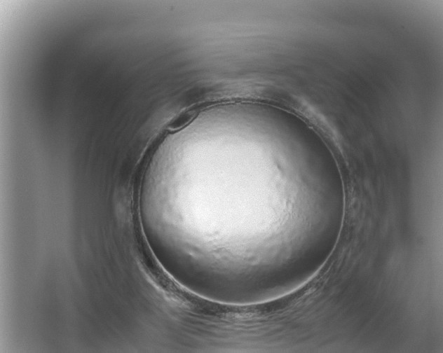 X0000067380107200604071738
