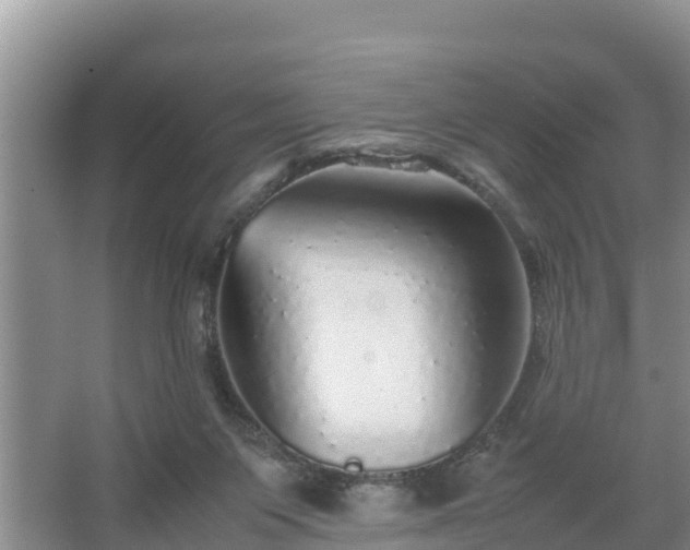 X0000067380119200604071738