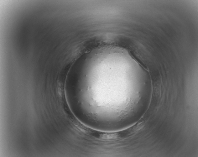 X0000067380135200604071737
