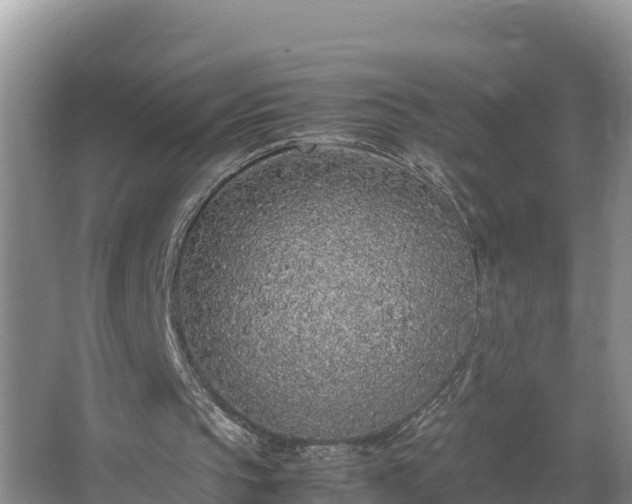 X0000067380145200604071736