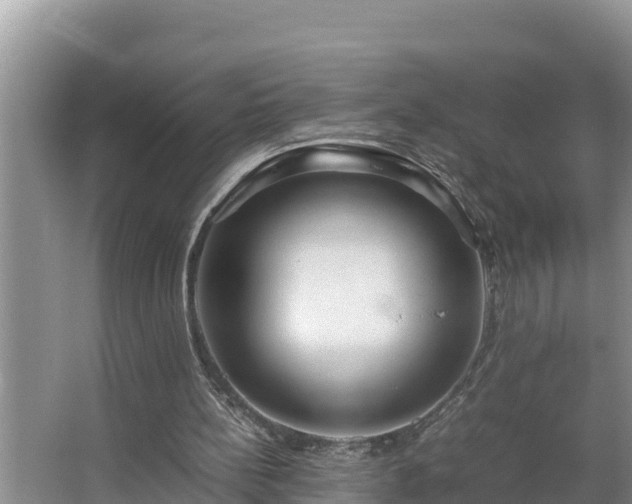 X0000067380148200604071736