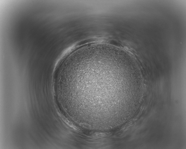 X0000067380149200604071736