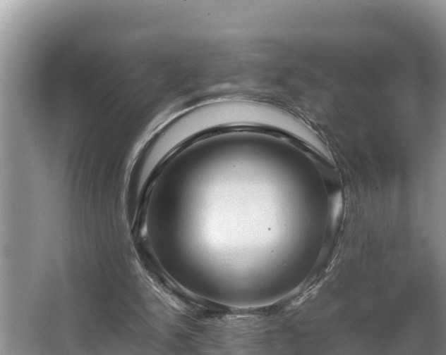 X0000067380150200604071736