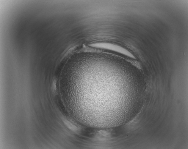 X0000067380166200604071737