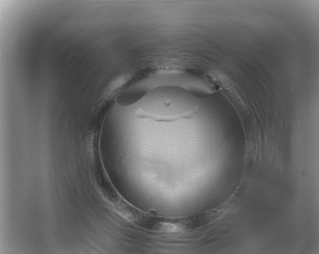 X0000067380167200604071737