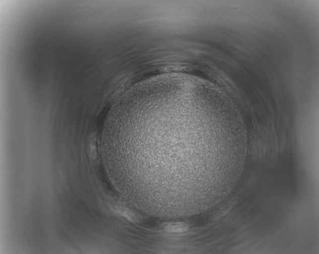 X0000067380169200604071737