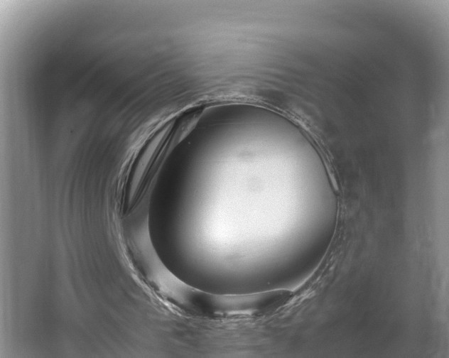 X0000067380193200604071736