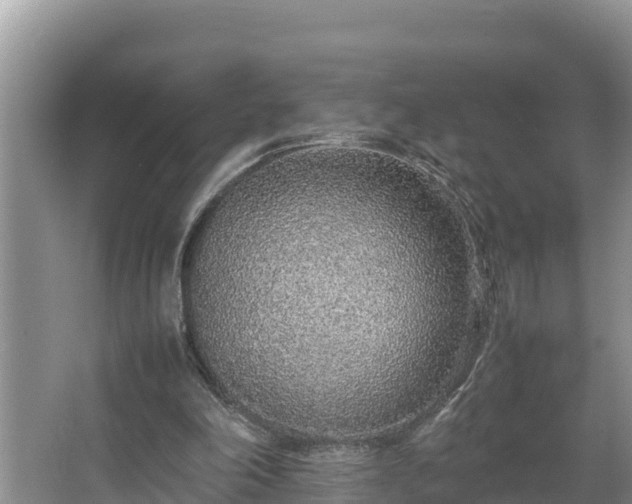 X0000067380198200604071736