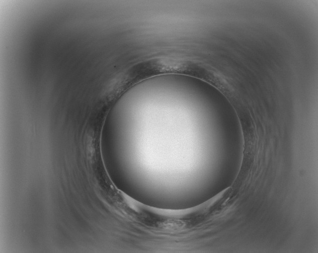 X0000067380215200604071736