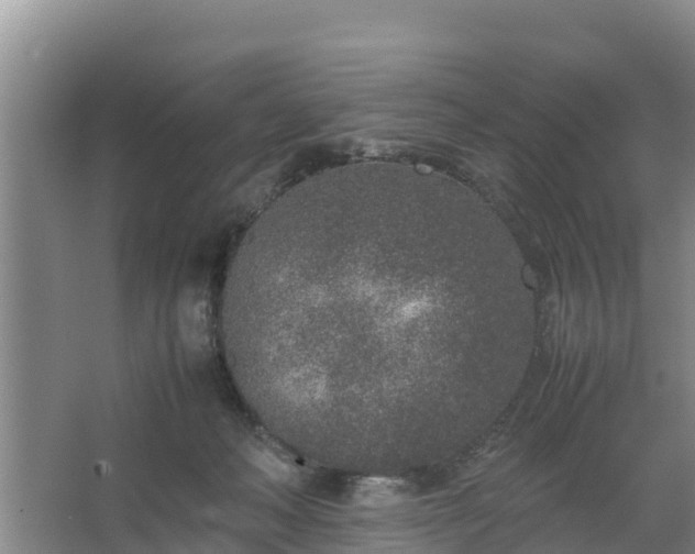 X0000067380222200604071736