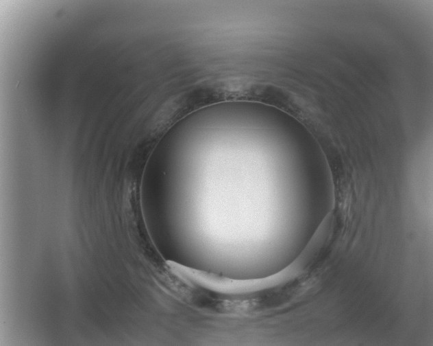 X0000067380225200604071736