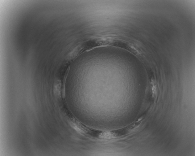 X0000067380231200604071736