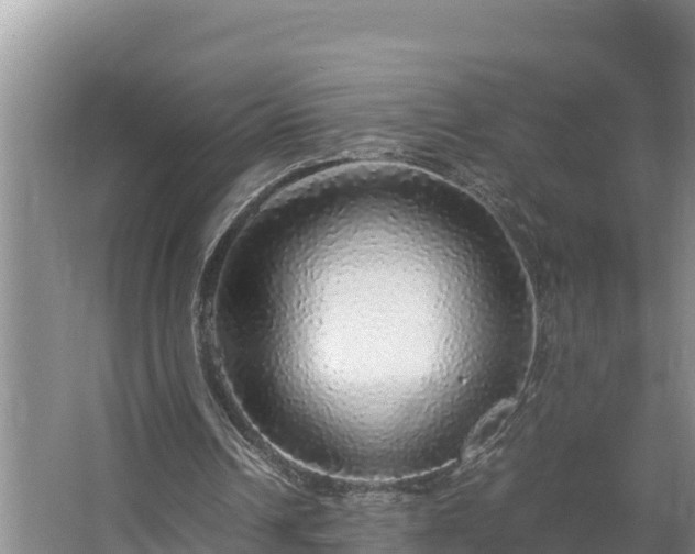 X0000067380242200604071735