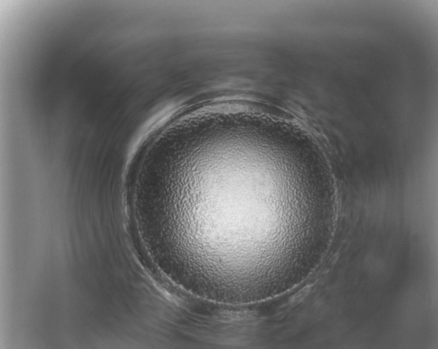 X0000067380245200604071735