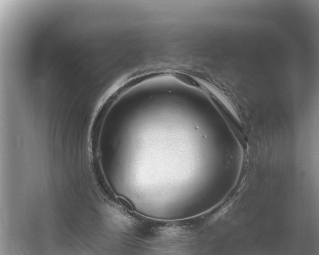 X0000067380246200604071735