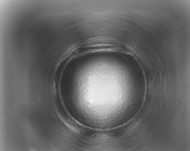 X0000067380254200604071735
