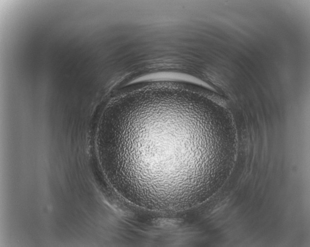 X0000067380255200604071735