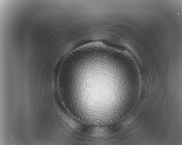 X0000067380261200604071735