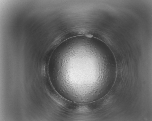 X0000067380262200604071735