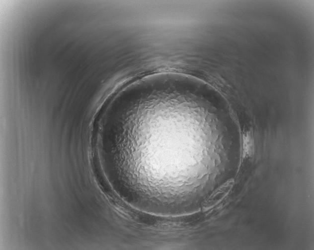 X0000067380291200604071735