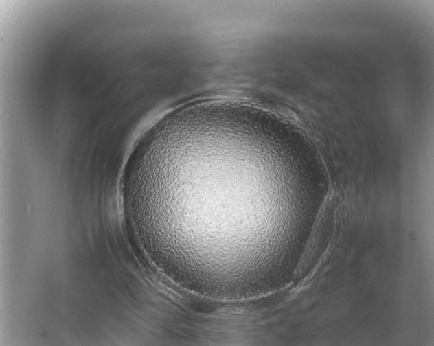 X0000067380294200604071735