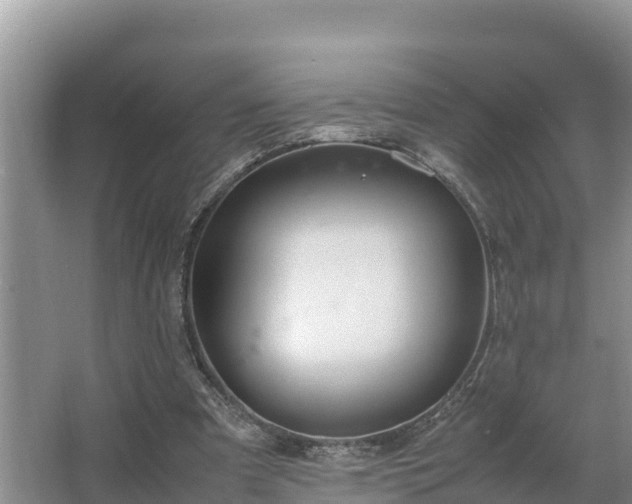 X0000067380297200604071735