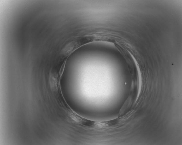 X0000067380333200604071734
