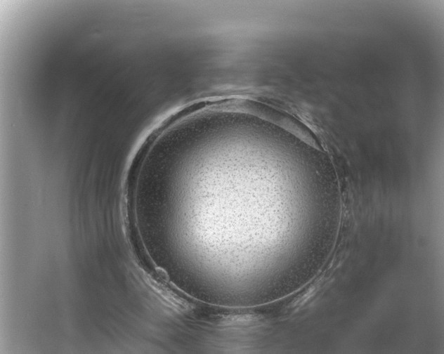 X0000067380342200604071733