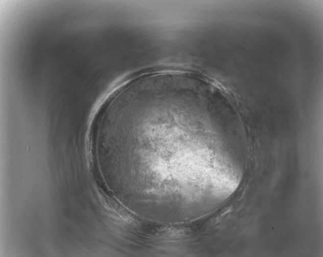 X0000067380343200604071733