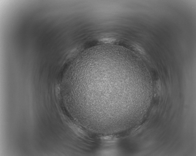 X0000067380365200604071734