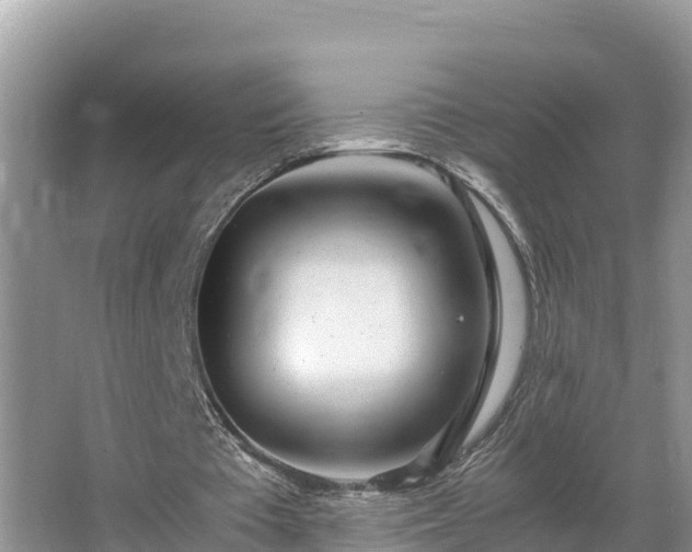 X0000067380385200604071733