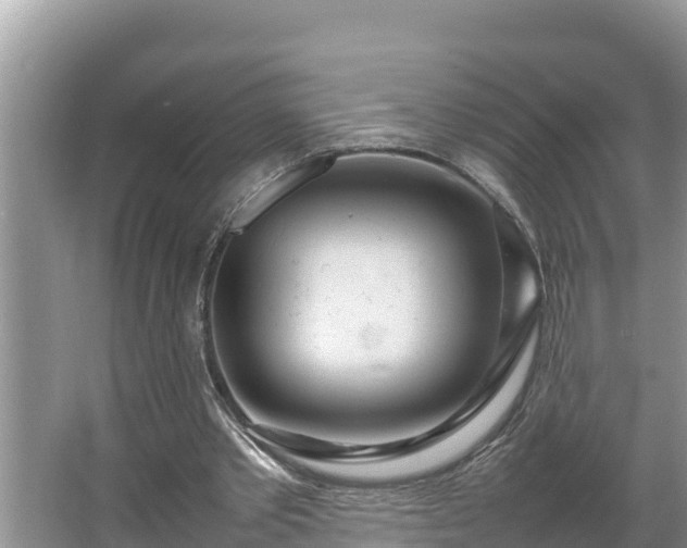 X0000067380389200604071733