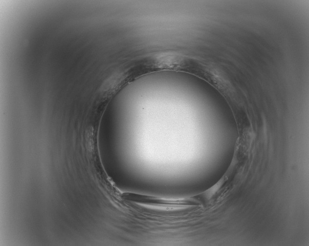 X0000067380413200604071733