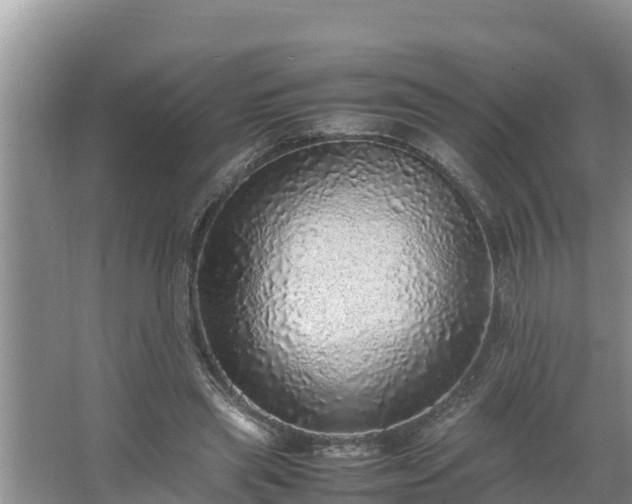 X0000067380445200604071732