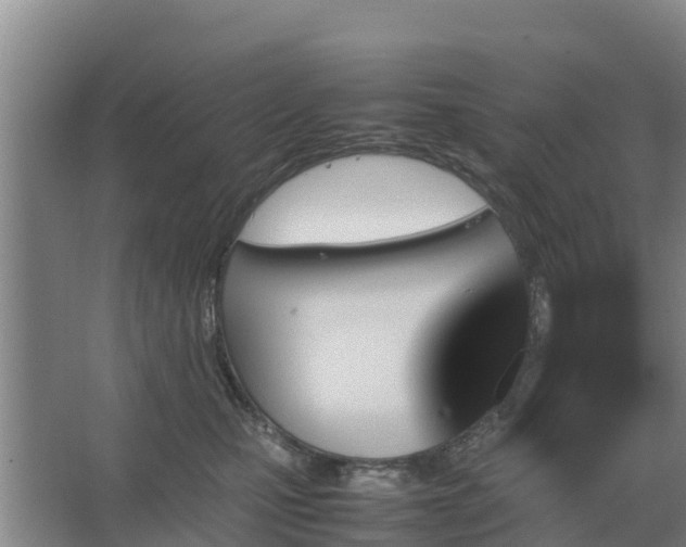 X0000067380471200604071732