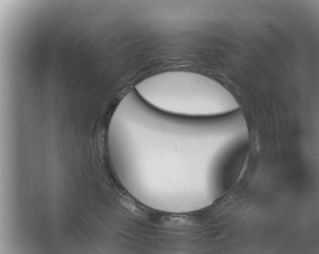 X0000067380475200604071732