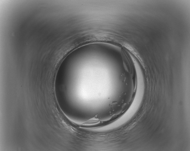X0000067380481200604071732