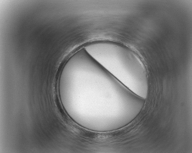 X0000067380487200604071731