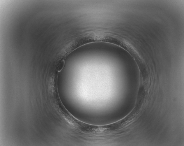 X0000067380497200604071731