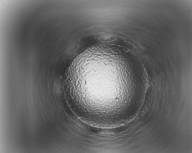 X0000067380515200604071731