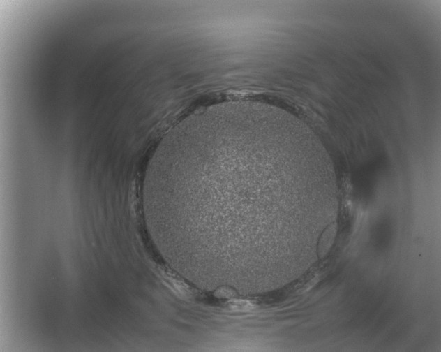 X0000067380519200604071731