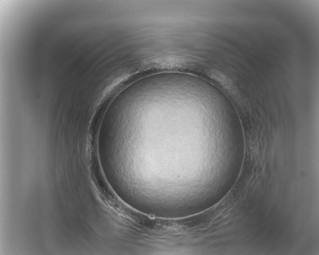 X0000067380583200604071730