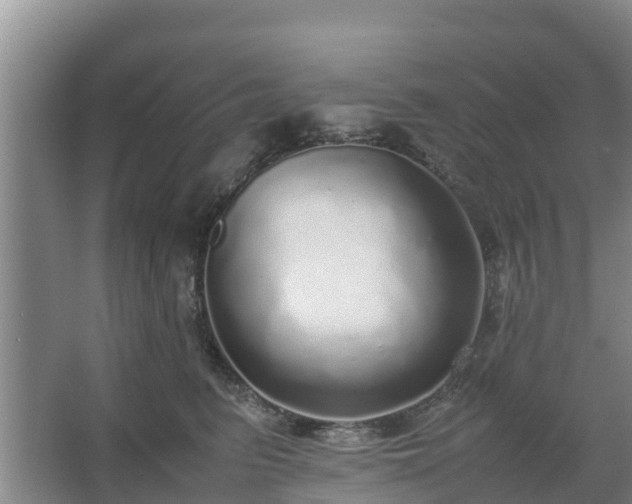 X0000067380615200604071729