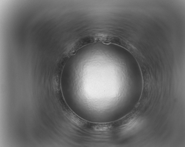X0000067380661200604071729