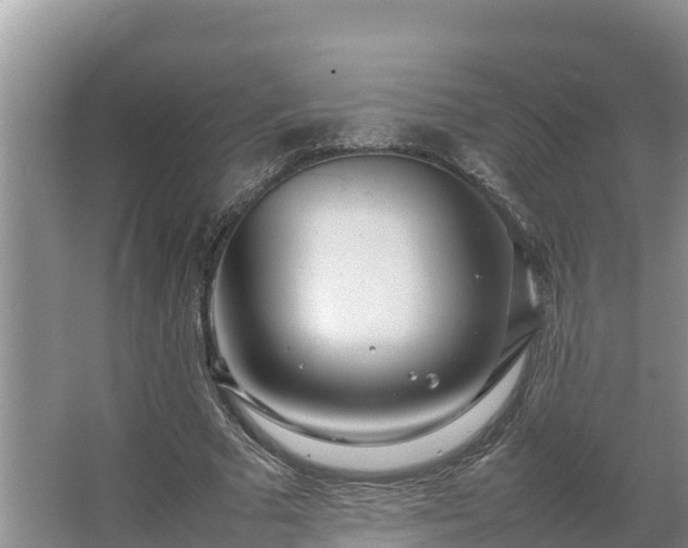 X0000067380681200604071728