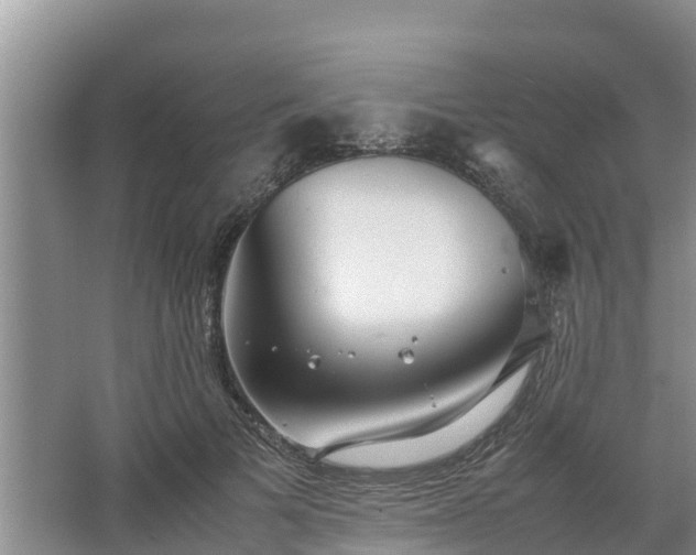 X0000067380697200604071728