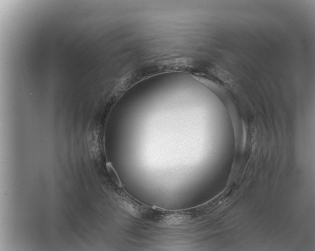 X0000067380708200604071728