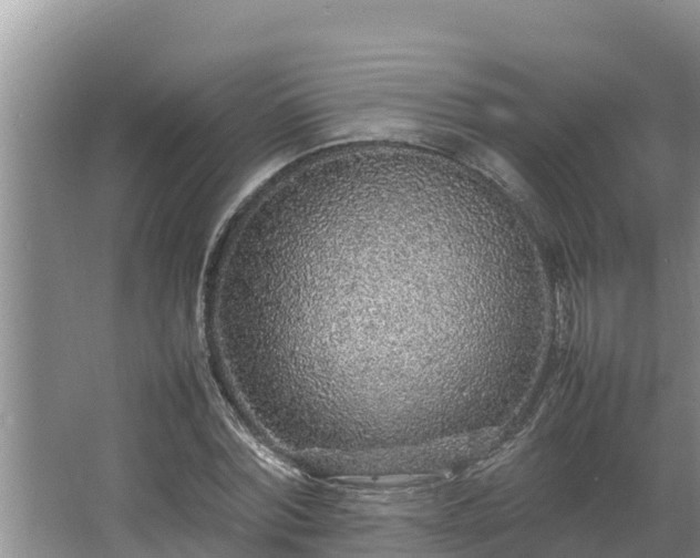 X0000067380780200604071726