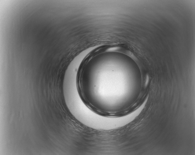 X0000067380818200604071725